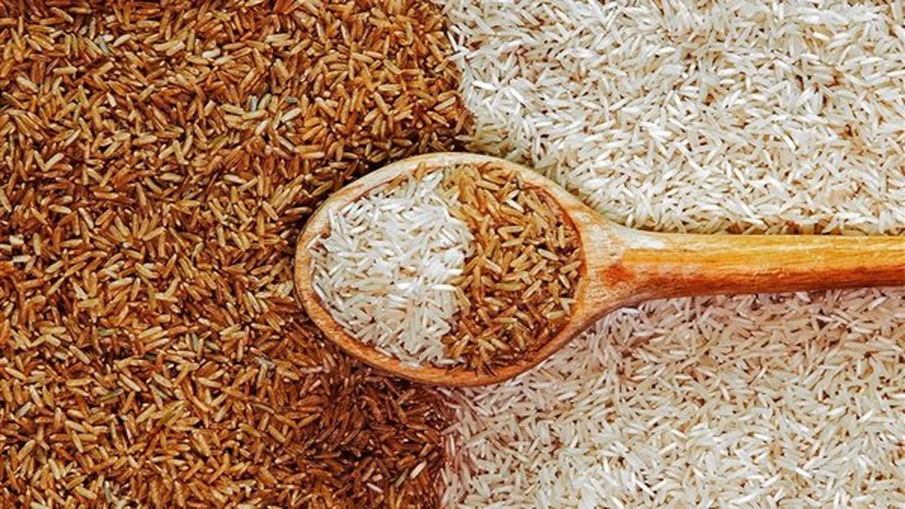 سعر كيلو الأرز الشعير اليوم يشهد استقرارًا مع حركة بيع بطيئة في الأسواق